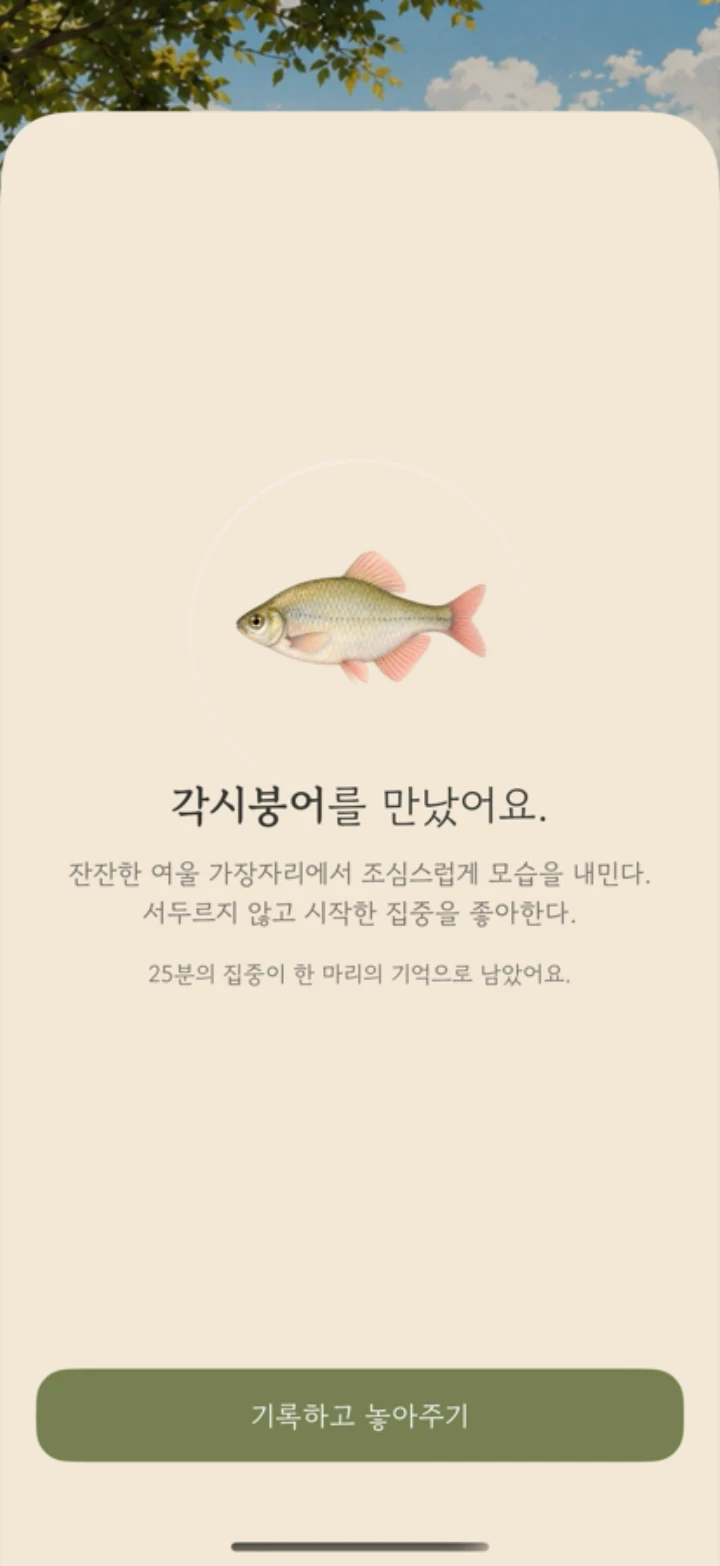 집중을 마친 뒤 각시붕어를 만나는 발견 화면